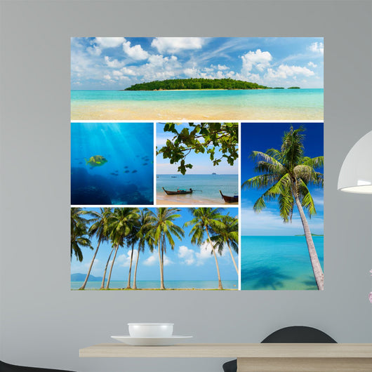 Beautiful Collage Tropical Images