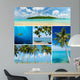 Beautiful Collage Tropical Images