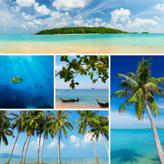 Beautiful Collage Tropical Images