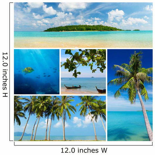 Beautiful Collage Tropical Images