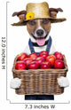 Farmer Dog