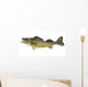 Big Walleye Isolated on a White Background Wall Decal