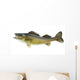 Big Walleye Isolated on a White Background Wall Decal