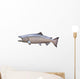 Big King or Chinook Salmon Isolated on White Wall Decal