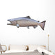 Big King or Chinook Salmon Isolated on White Wall Decal