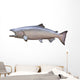Big King or Chinook Salmon Isolated on White Wall Decal