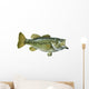 Largemouth Bass White