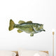 Largemouth Bass White
