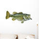 Largemouth Bass White