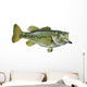 Largemouth Bass White