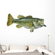 Largemouth Bass White