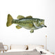 Largemouth Bass White