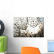 Dandelion Seeds With Dew Drops Wall Mural