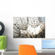 Dandelion Seeds With Dew Drops Wall Mural