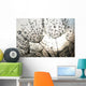 Dandelion Seeds With Dew Drops Wall Mural