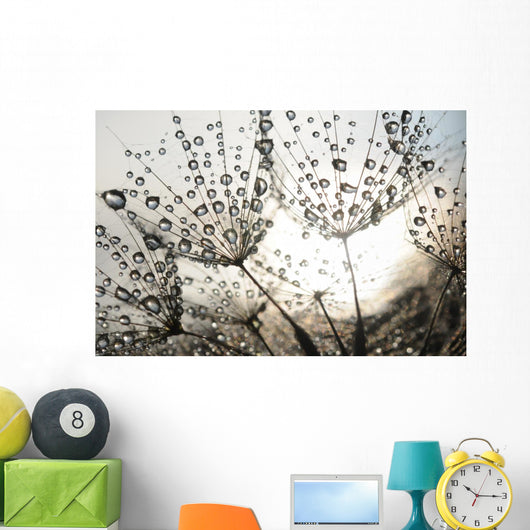 Dandelion Seeds With Dew Drops Wall Mural