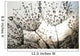 Dandelion Seeds With Dew Drops Wall Mural