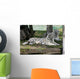 White Tigers Wall Mural