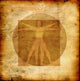 Stylized illustration of Laonardo Da vinci's Vitruvian Man Wall Mural