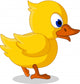 cute baby duck cartoon walking Wall Decal