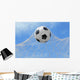 Soccer Ball Shoot to Wall Mural