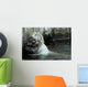 White Bengal Tiger Scratching His Back Wall Mural