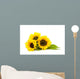 Sunflower White Helianthus
