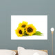 Sunflower White Helianthus