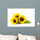 Sunflower White Helianthus