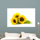 Sunflower White Helianthus