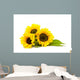 Sunflower White Helianthus