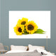 Sunflower White Helianthus