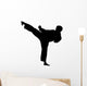 Karate Silhouette