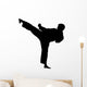 Karate Silhouette