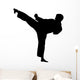 Karate Silhouette
