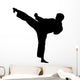Karate Silhouette
