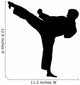 Karate Silhouette