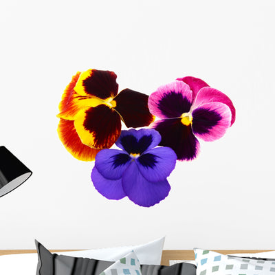 Three Colorful Pansy Flowers Wall Decal shown on a wall