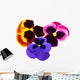 Flower Decals - pansies Wall Decal
