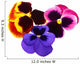 Flower Decals - pansies Wall Decal