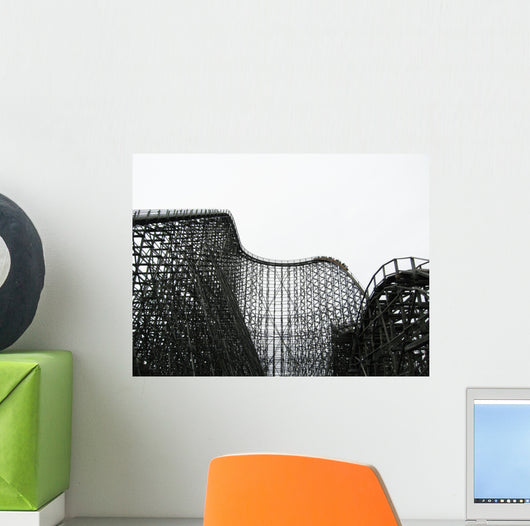 rollercoaster Wall Mural