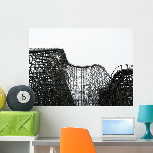 rollercoaster Wall Mural