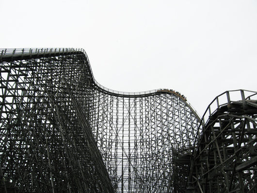 rollercoaster Wall Mural