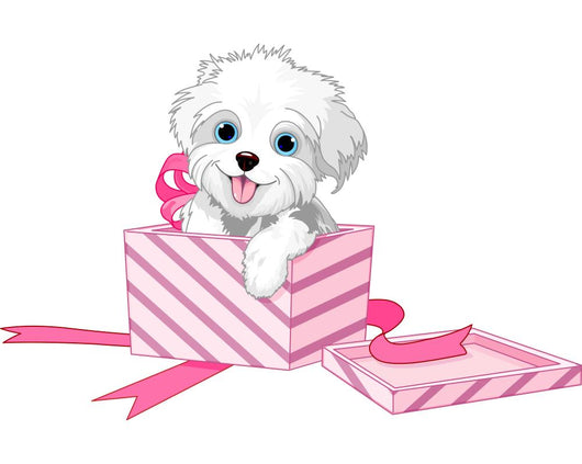 Dog in box Wall Decal