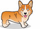 Corgi