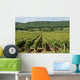 Vineyards Burgundy Wall Mural