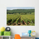 Vineyards Burgundy Wall Mural