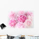 Floral background of pink peonies varieties Albert Kruss Wall Mural