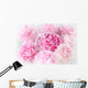Floral background of pink peonies varieties Albert Kruss Wall Mural