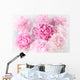 Floral background of pink peonies varieties Albert Kruss Wall Mural